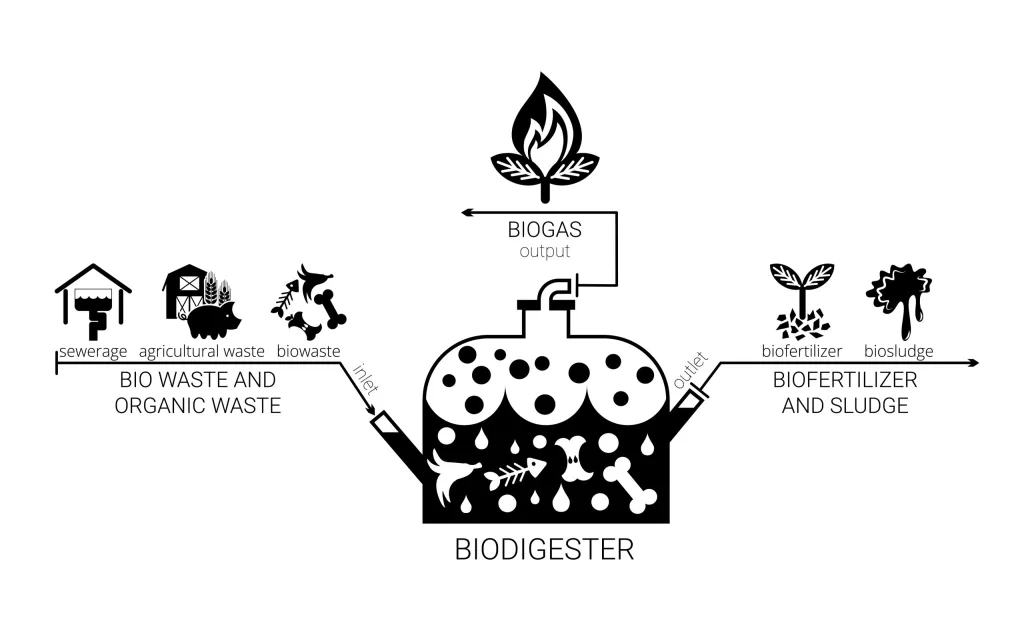 Blog picture for biodegradation