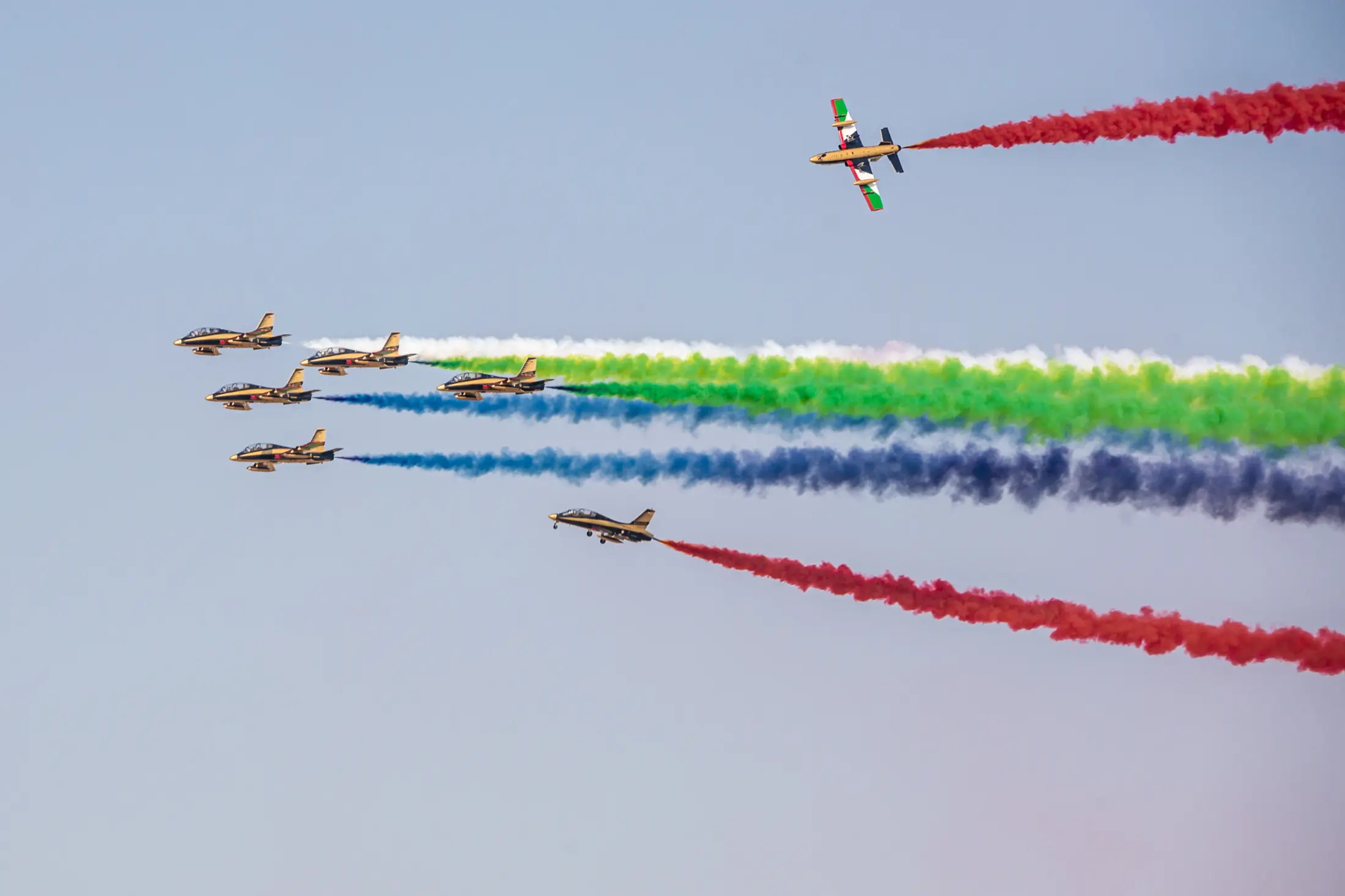 Dubai Airshow Aircraft Display